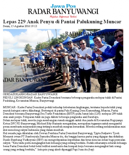 Pelepasliaran Tukik Bersama Sumber Yala