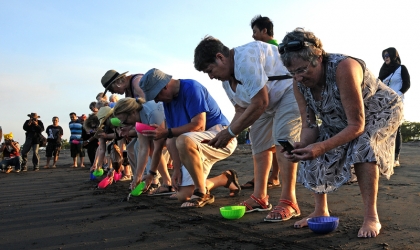 Pelepasliaran Tukik Bersama Warga USA