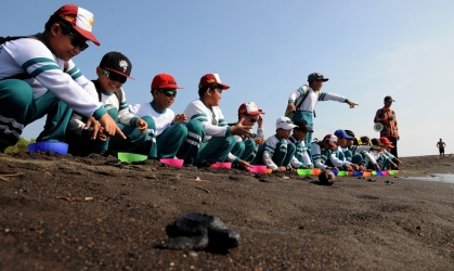 Pelepasliaran Tukik Bersama Siswa SD Al Khairriyah