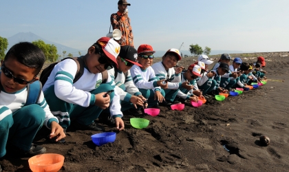 Pelepasliaran Tukik Bersama Siswa SD Al Khairriyah