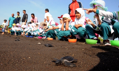 Pelepasliaran Tukik Bersama Siswa SD Al Khairriyah