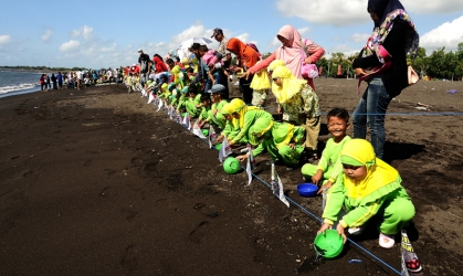 Pelepasliaran Tukik Bersama Siswa TK Aisiyah
