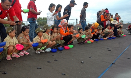 Pelepasliaran Tukik Bersama Perhutani