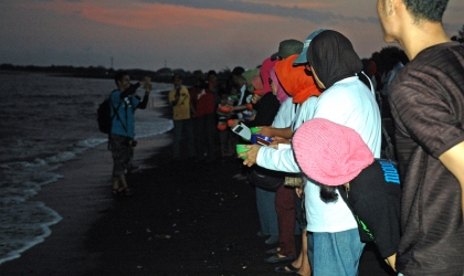 Pelepasliaran Tukik Bersama Alumni IPB