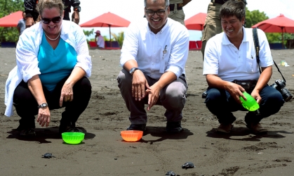 Pelepasliaran Tukik Bersama Konjen AS