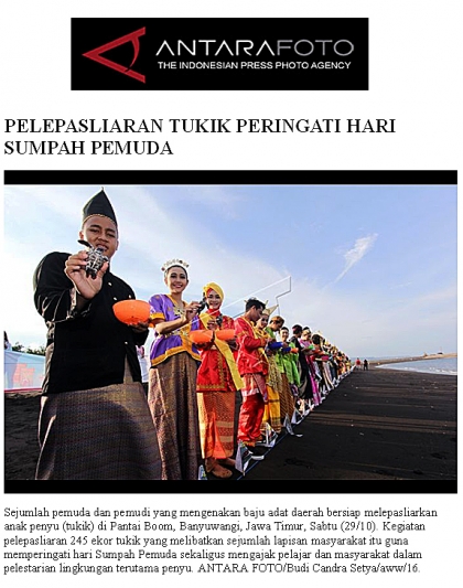 Pelepasliaran Tukik Memperingati Sumpah Pemuda