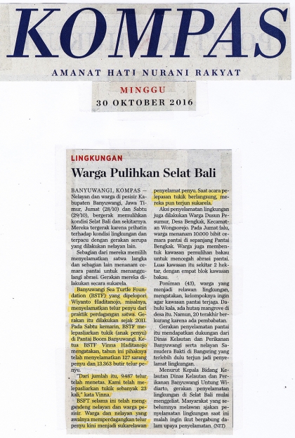 Pelepasliaran Tukik Memperingati Sumpah Pemuda