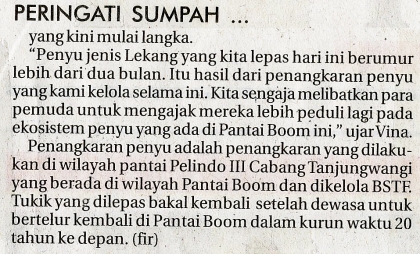 Pelepasliaran Tukik Memperingati Sumpah Pemuda