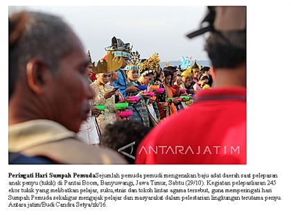 Pelepasliaran Tukik Memperingati Sumpah Pemuda