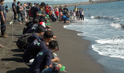 Pelepasliaran Tukik Bersama Klum Motor Kawasaki Ninja