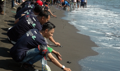 Pelepasliaran Tukik Bersama Klum Motor Kawasaki Ninja