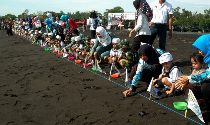 Pelepasliaran Tukik Memperingati Hari Pahlawan