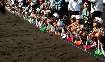 Pelepasliaran Tukik Memperingati Hari Pahlawan