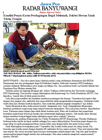 Pemeriksaan Kesehatan Penyu Oleh Drh. Aditya