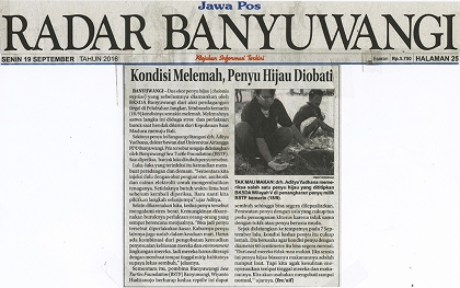 Pemeriksaan Kesehatan Penyu Oleh Drh. Aditya