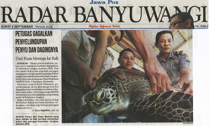 Pelepasliaran Penyu Sitaan