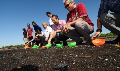Pelepasliaran Tukik Bersama Komisaris PPI Bapak Saefuddin