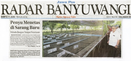 Pelepasliaran Tukik Bersama Komisaris PPI Bapak Saefuddin