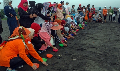 Pelepasliaran Tukik Bersama IWAPI