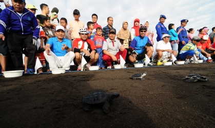 Pelepasliaran Tukik Bersama PDAM