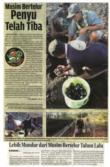 Menemukan Penyu Bertelur di Pantai Boom