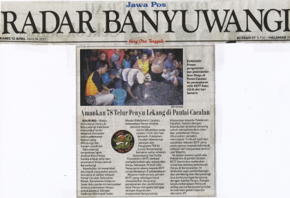 Amankan 78 Telur Penyu Lekang di Pantai Cacalan