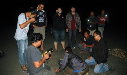 Menemukan Penyu Bertelur di Pantai Boom