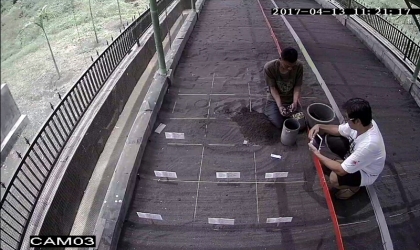 Menemukan Penyu Bertelur di Pantai Sobo