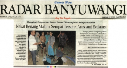 Penyelamatan Penyu Hijau di Pantai Wongsorejo