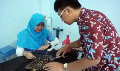 Pemeriksaan Penyu Sakit Dr. Aditya