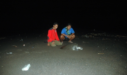 Menemukan Punya Bertelur di Pantai Boom