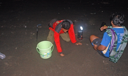 Menemukan Punya Bertelur di Pantai Boom