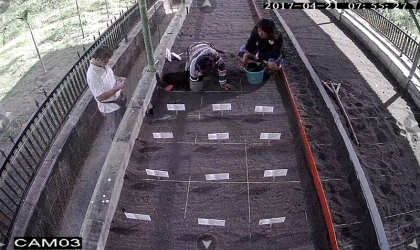 Menemukan Punya Bertelur di Pantai Pulau Santen