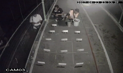 Menemukan Punya Bertelur di Pantai Boom