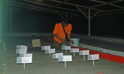 Menemukan Punya Bertelur di Pantai Boom