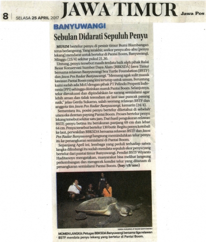 Menemukan Punya Bertelur di Pantai Boom