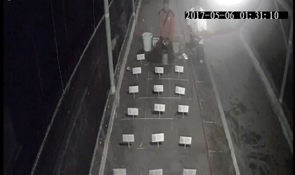 Menemukan Punya Bertelur di Pantai Pulau Santen