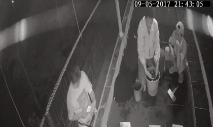 Menemukan Punya Bertelur di Pantai Kramat