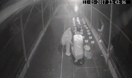 Menemukan Punya Bertelur di Pantai Boom