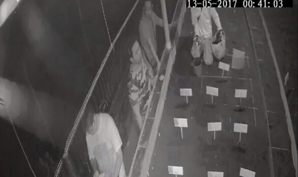 Menemukan Punya Bertelur di Pantai Boom