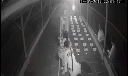 Menemukan Punya Bertelur di Pantai Boom