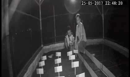 Menemukan Punya Bertelur di Pantai Boom