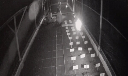 Menemukan Penyu Bertelur di Pantai Santen