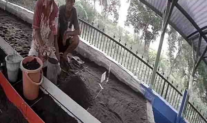 Menemukan Penyu Bertelur di Pantai Mirah