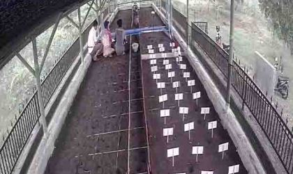 Menemukan Penyu Bertelur di Pantai Mirah