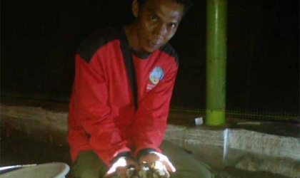 Menemukan Penyu Bertelur di Pantai Sobo