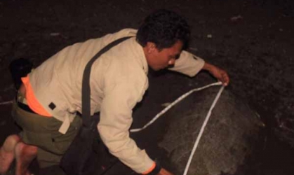 Menemukan Penyu Bertelur di Pantai Boom