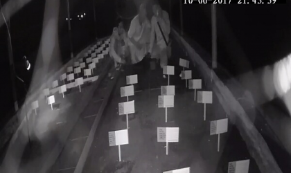 Menemukan Penyu Bertelur di Pantai Pulau Santen