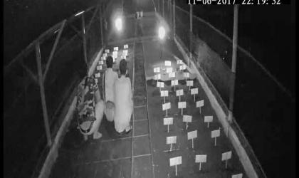 Menemukan Penyu Bertelur di Pantai Pulau Santen