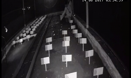 Menemukan Penyu Bertelur di Pantai Kramat